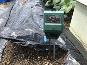 土壌の酸度測定